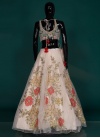 Net Designer Lehenga Choli - 2