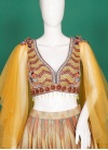 Glossy Fancy Fabric Cut Dana Designer Lehenga Choli - 1