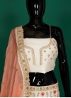 Art Raw Silk Designer Lehenga Choli - 2