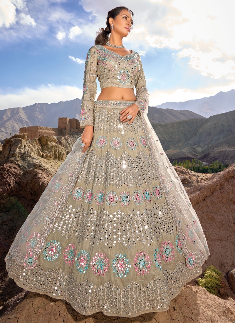 Beige and Brown Color Lehenga Choli