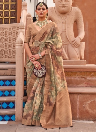 Charismatic Border Multi Colour Organza Contemporary Saree