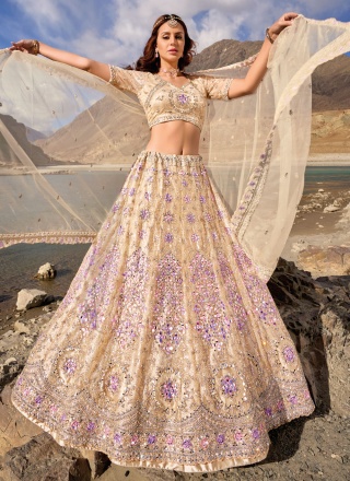 Dilettante Mirror Beige Net Trendy Lehenga Choli