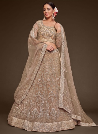 Long Choli Lehenga Embroidered Net in Beige