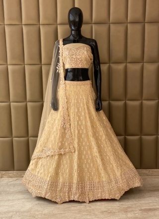 Organza Designer Lehenga Choli