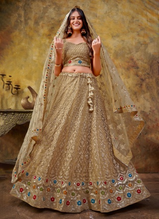 Outstanding Net Sequins Long Choli Lehenga