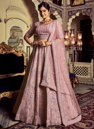 Pink Net Long Choli Lehenga